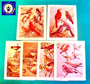 1960 De colección conjunto de 6 cartas de retratos de aves americanas en color conjunto de 5 - Imagen 1 de 13