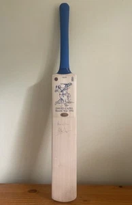Signierter / handsignierter Cricketschläger aus David Capels Benefizjahr - Bild 1 von 9
