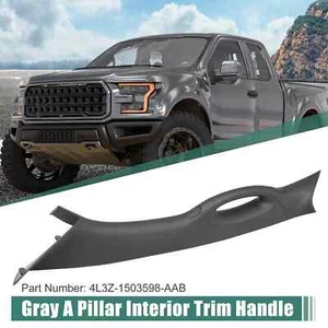 a Pillar Interior Trim Handle Left Driver Side for Ford F150 2006-2008 Gray - Foto 1 di 1