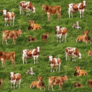 Handmade Valance or Curtain Panel Cow Friends - Picture 1 of 7
