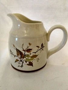 Vintage Royal Doulton Wildkirschmilch Wasserkrug Lambethware 1979 20oz Kappe. - Bild 1 von 4