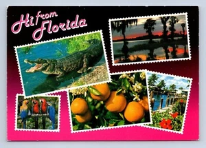 Florida Gruß Postkarte 2FG 187 unbespielt - Bild 1 von 2