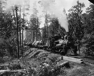 Locomotive Railroad Logging Train at work in 1910 8"x 10" Photo 66 - Picture 1 of 1