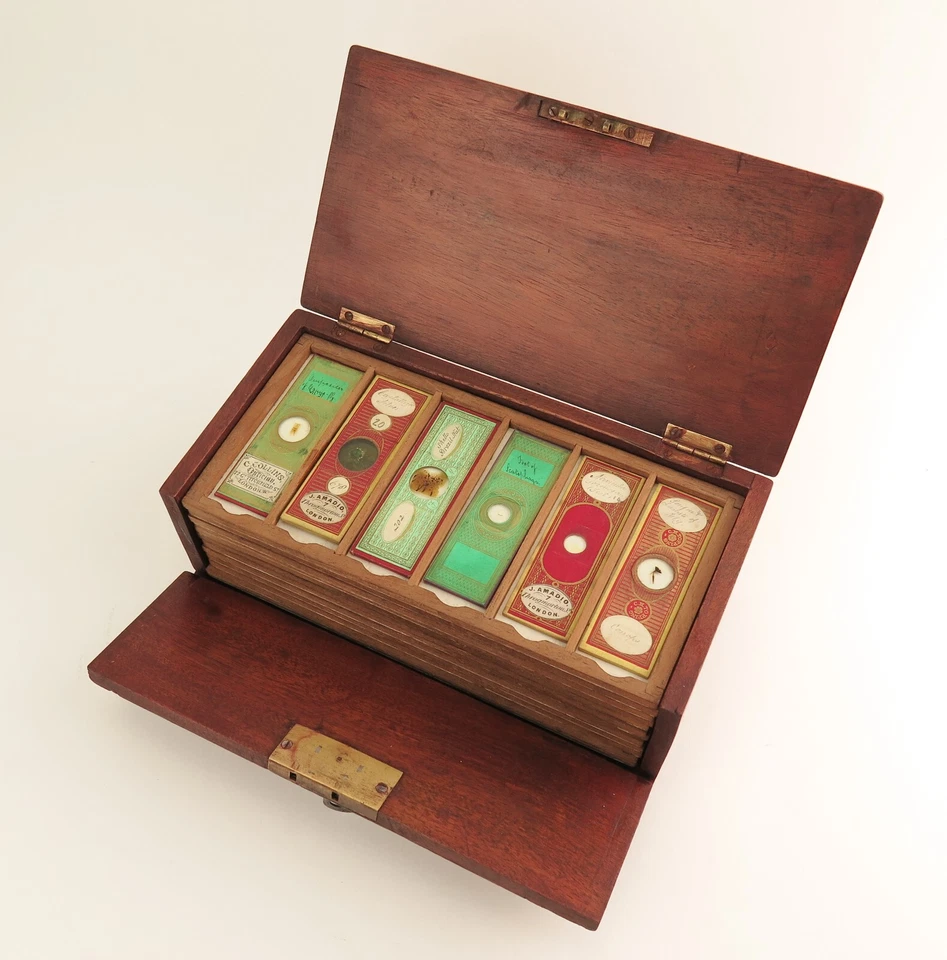 Victorian Microscope slide collection (72) including Dancer Microphotographs - Image 1 of 4