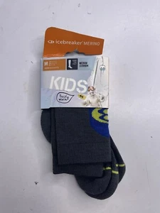 NEW icebreaker Merino Wool Kids Over the Calf Socks Medium Cushion size medium - Picture 1 of 3