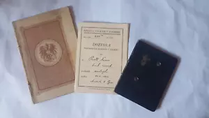Austrian passport canceled 1921 , Residence permit and Legitimation - Picture 1 of 21