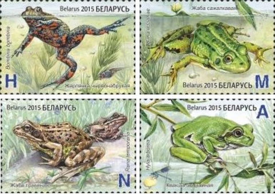 Belarus 2015. Fauna - Amphibians . MNH - Image 1 of 1