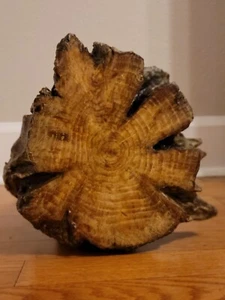 Unique Finished OOAK Fatwood log, approx 12 Pds!, solid lighter pine, heart wood - Picture 1 of 17