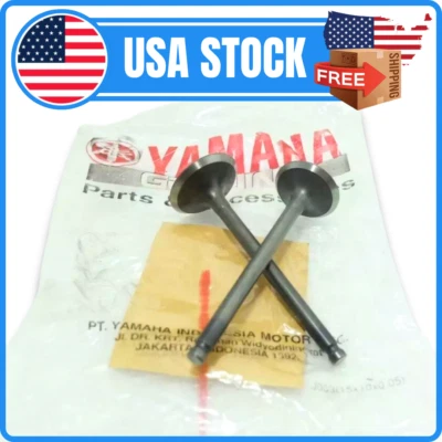 Válvula de admisión y escape apta para Yamaha TTR110 TTR 110 5TP-E2111-00 y 5TP-E2121-00 Foto 1 de 4