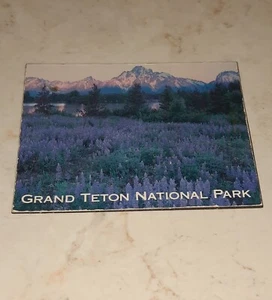 Magnete frigorifero souvenir vintage parco nazionale Grand Teton - Foto 1 di 3