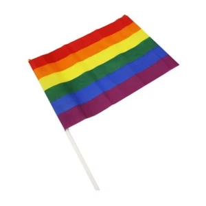 Accessoires Rainbow Gay Pride - Drapeau Rainbow avec manche 20 x 28 cm - Bild 1 von 1