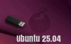 Linux 25.04 Plucky Puffin 64 Bt 32 Gb USB 3.0 Bootable USB Install - Picture 1 of 1
