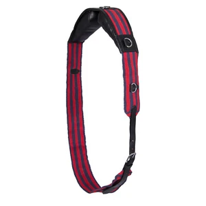 Fascione per addestramento cavallo in tela e cuoio Horse Training Equipment - Picture 1 of 2