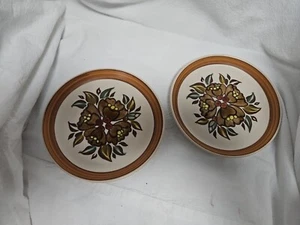  2 Denby Langley Oak Apple 6.5” Bread Butter Plates Made in England  - Picture 1 of 7