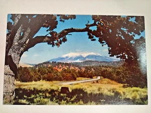 Arizona San Francisco Peaks Route 66 near Flagstaff AZ Postcard Highway - Picture 1 of 11