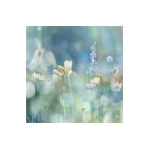 Stampa su Tela su Carta Poster o Quadro Carrigan Kate Morning Meadow II - Picture 1 of 2