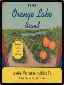 Orange Lake Brand Florida Fruit Label 9" x 12" Metal Sign - Picture 1 of 1