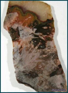 zbv- Top Rare Collector Ankara Stick Agate Rough Slab!! - Picture 1 of 1