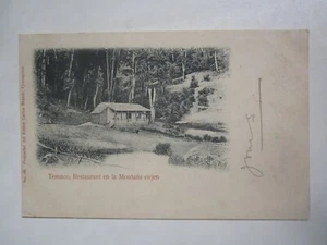 CHILE TEMUCO RESTAURANTE EN LA MONTANA VIRJEN 1905 - Imagen 1 de 2