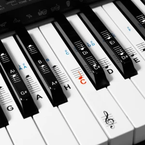 Klavier Keyboard Noten Aufkleber Deutsches Layout 49 61 76 88 Tasten Instrumente - Bild 1 von 7