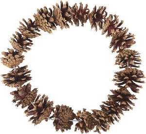 Corona de cono de abeto, natural, Ø 25 cm - Imagen 1 de 1