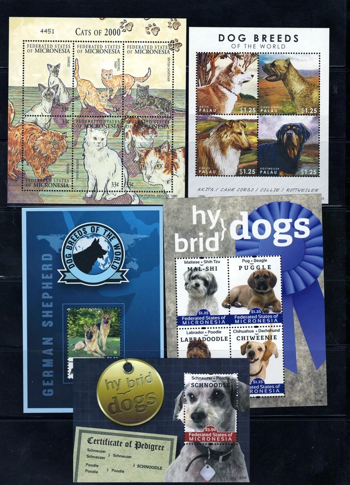 Cães e gatos MNH super fofo coleção de três páginas Micronésia ZAYIX 0825L1708 - Imagem 1 de 3