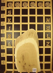 S13 Baumscheibe  Holzscheibe Holz Eiche  massiv 50mmx22-29cm Länge 54cm - Bild 1 von 2