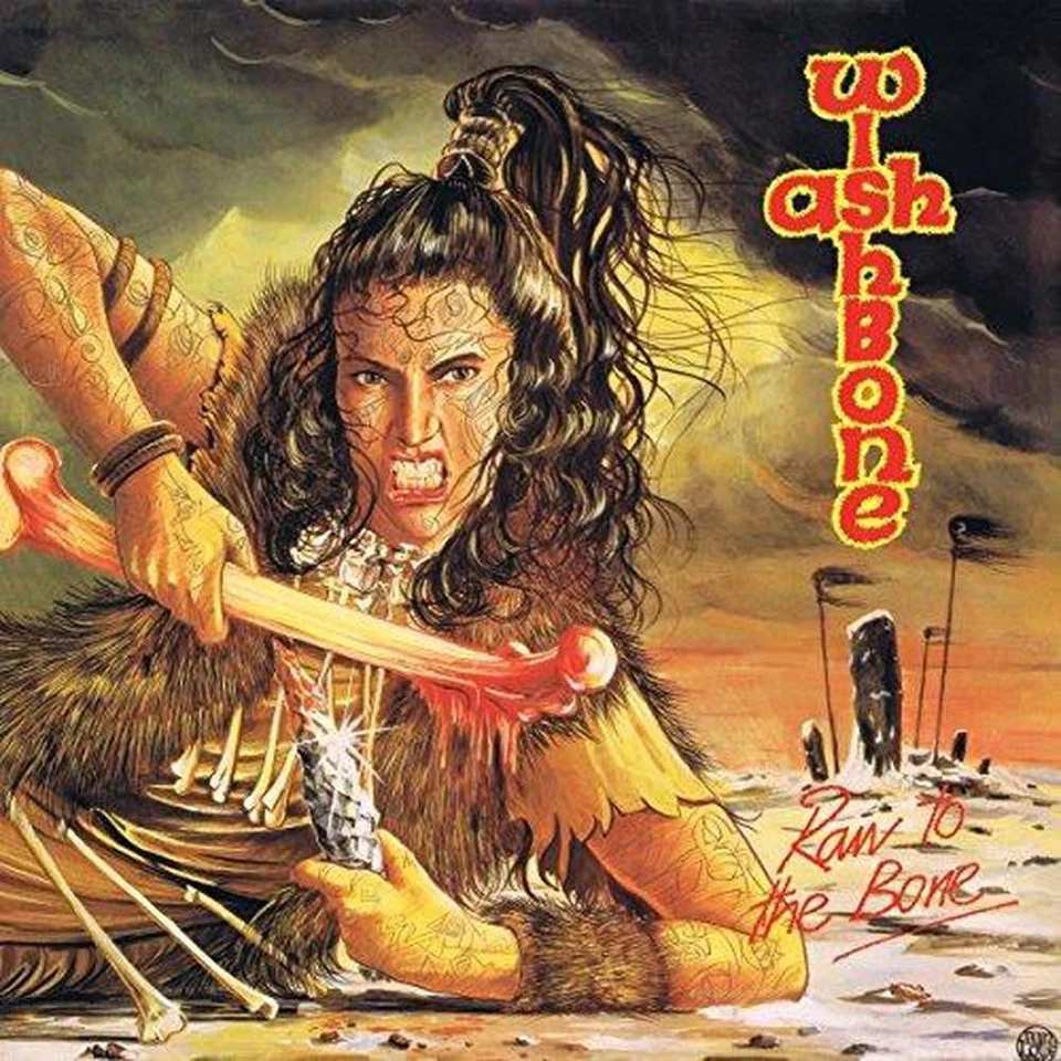 Raw To The Bone - Wishbone Ash Vinyl - image 1 of 1