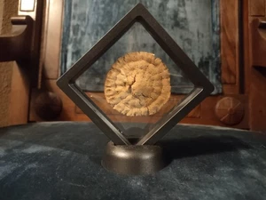 SW Ofen gebrannte Erdnussbutter Schlamm Münze neuer Regen mit massivem 24k Gold Schätzung 0,3-,5% - Bild 1 von 8