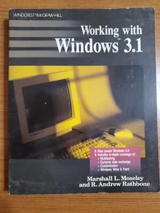VINTAGE WORKING WITH WINDOWS 3.1. MARSHALL MOSELEY & ANDREW RATHBONE. WINDCREST - Foto 1 di 10