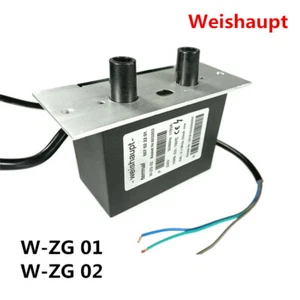 Transformador de encendido quemador Weishaupt W-ZG02 W-ZG01 - Imagen 1 de 6