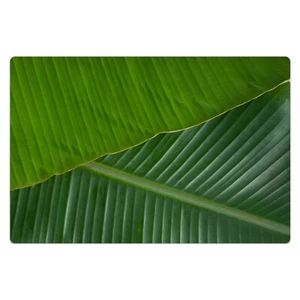 Teppich 60x90 cm Vinylmatte Bodenmatte Dekoration Banane Blatt - Bild 1 von 5