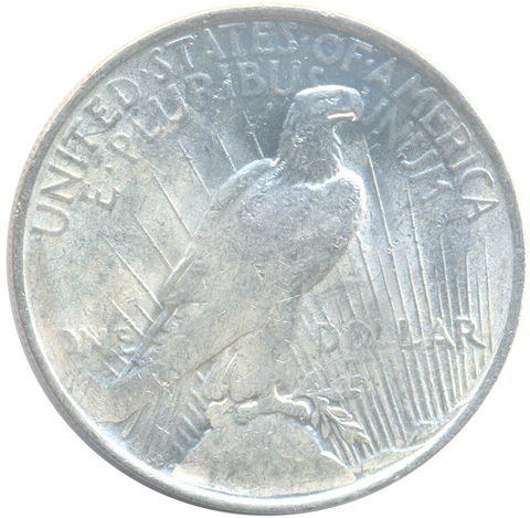 1922 Struck Thru Grease Reverse Error Peace Silver Dollar Choice Uncirculated BU Cover