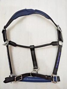 Blue Crystal & Padding Leather Halter With S.S. Fitting For Horse. - Picture 1 of 8