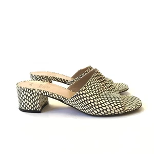 Maryam Nassir Zadeh Agatha Slide Sandals Womens 39  8.5 Snake King Cobra Leather - Picture 1 of 10