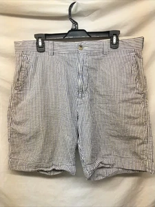 Alan Flusser Golf Shorts Mens Size 34 Blue Striped Active Preppy Casual Resort - Picture 1 of 5