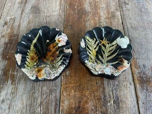 Vintage Resin Shell Soap Dish Acrylic Beach Souvenir Sand Design Gifts Disney - Picture 1 of 11