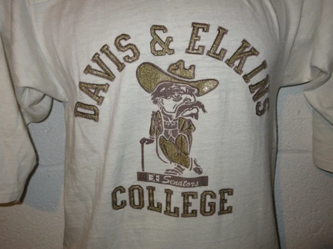Vintage 70s 80s Collegiate Pacific Davis & Elkins College Senators T-Shirt S/XS Cover