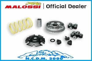 Malossi Multivar 2000 Variator Kymco People 150 4T - Picture 1 of 4