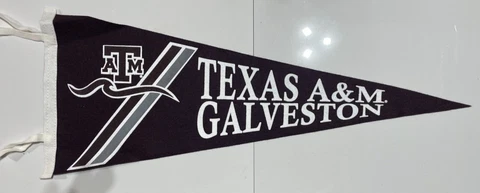 TEXAS A&M GALVESTON UNIVERSITY COLLEGIATE PACIFIC VINTAGE WOOL PENNANT NEW/MINT Cover