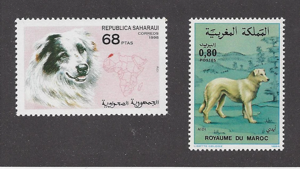 Sello postal de cuerpo artístico MARROQUÍ AIDI PERRO PASTOR PERRO Colección de 2 MNH Foto 1 de 1