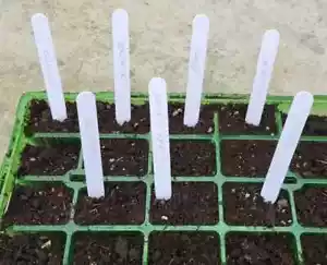 Etichetta per piante etichette bianche bastone etichette semi giardino vaso vassoio serra - Foto 1 di 4