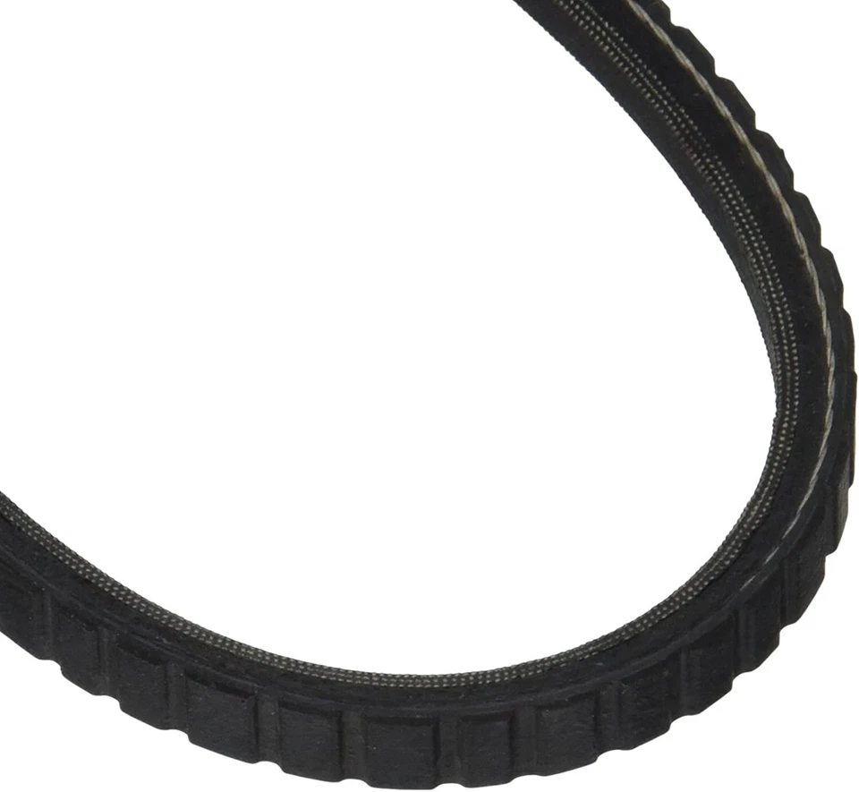 Accessory Drive Belt-GAS Dayco 17340 Foto 1 de 3