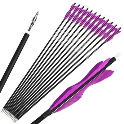 30" Carbon Arrows SP500 Natural Feather Recurve Bow Shoot Longbow Hunting Target - Image 1 of 4