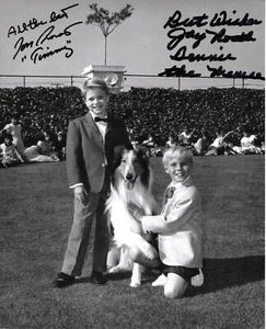 JAY NORTH und JON PROVOST handsigniertes Foto mit Lassie - Bild 1 von 1