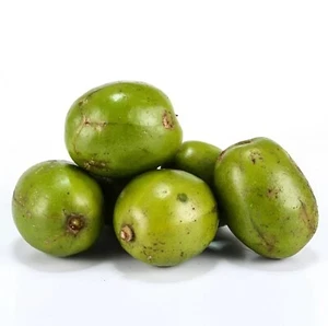Dwarf June Plum – 2-3 Ft Tall – Sweet Tropical Fruit – 3 Gal Pot - Picture 1 of 4