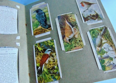 Compete 1930s Wills Cigarette 50 picture card Wild Birds series album - Image 1 of 4