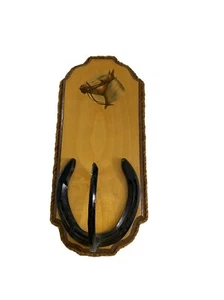 Western Tony Snyder Wall Hanging Coat Hook Horse Shoe Wood Rope Texas Art - Picture 1 of 7