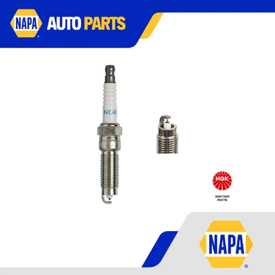 Juego de 4 bujías para FORD C-MAX Mk2 1.5 15 a 19 NGK 1802090 DS7G12405BA Nuevo Foto 1 de 4