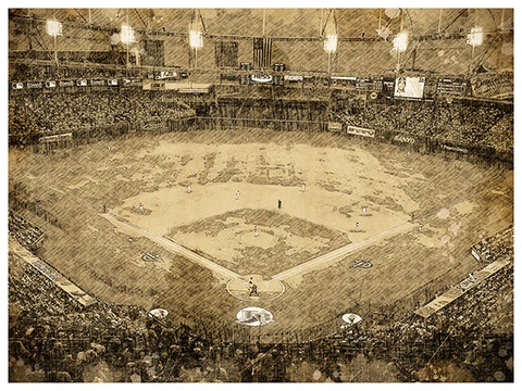 Tampa Bay Rays Art Poster Print Sketch Wall Art Man Cave Decor 12x16" Cover